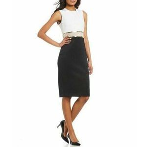 Calvin Klein Colorblock Sheath Dress Black, White and Gold